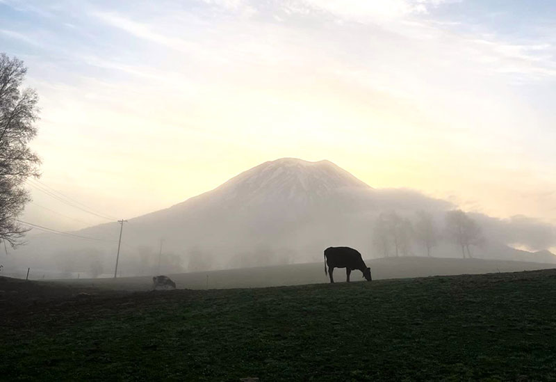 ニセコリン・リンファーム