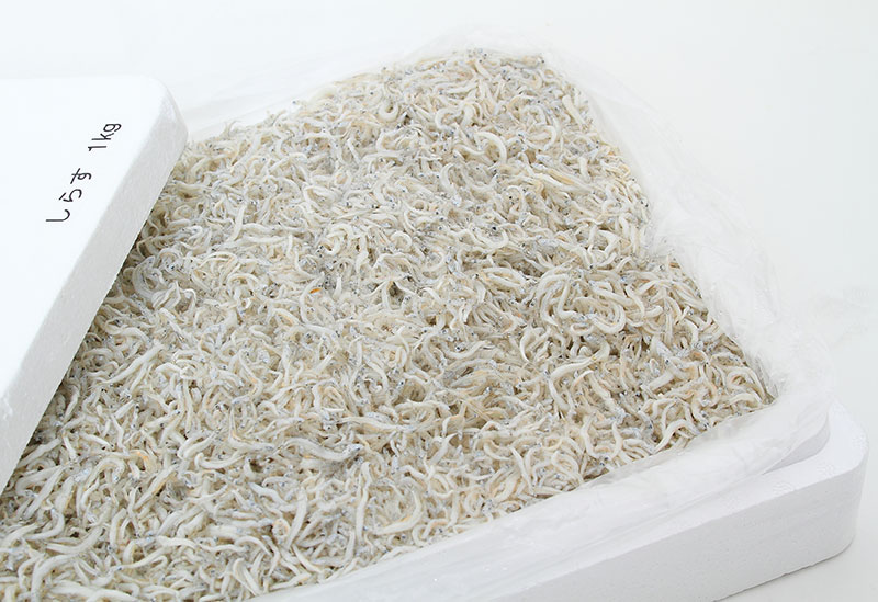 有限会社　山由水産