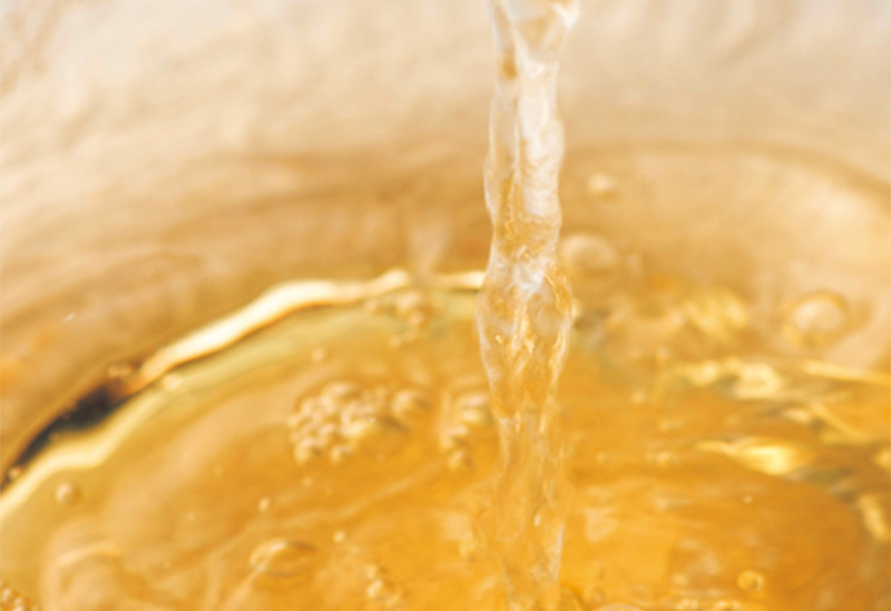 株式会社奥井海生堂