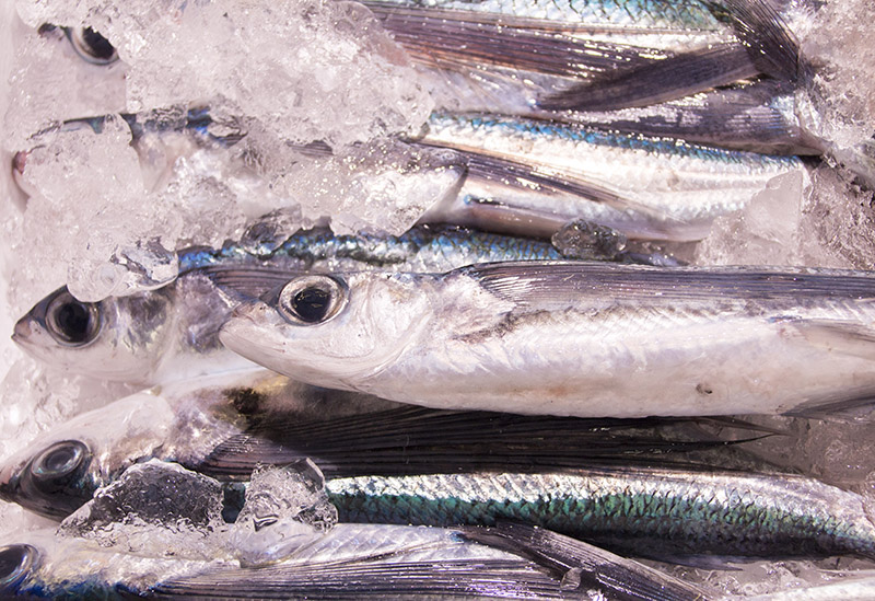 株式会社しまおう