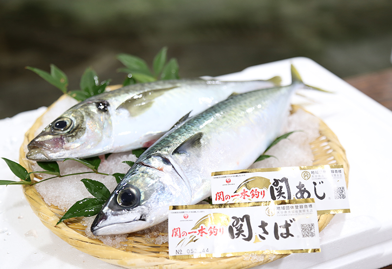 大分県漁業協同組合 佐賀関支店