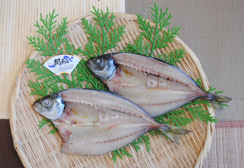 大分県漁業協同組合 佐賀関支店