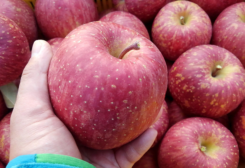 アップル吉田のりんご屋さん