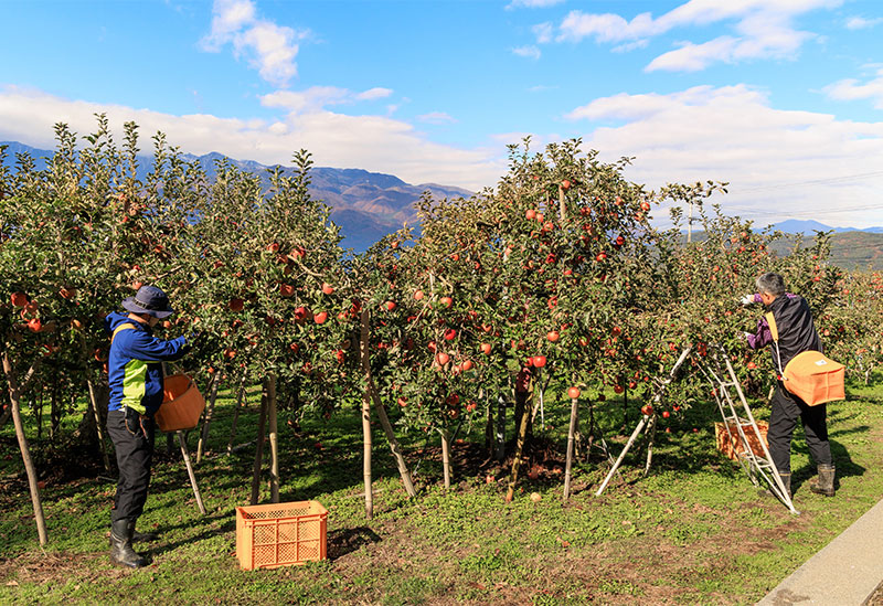 北垣外 瀧澤農園