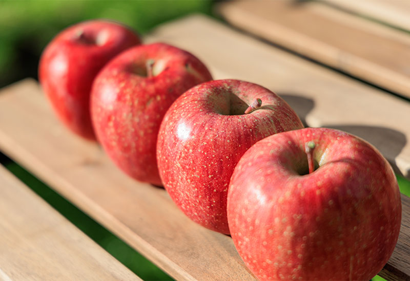 北垣外 瀧澤農園