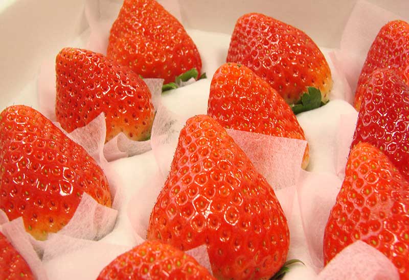 飛騨・美濃うまいもん広場