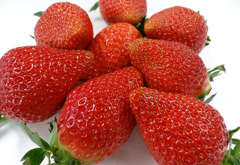 飛騨・美濃うまいもん広場