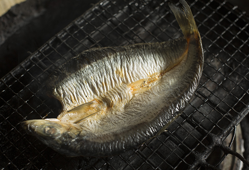 日本酒・おでん 陽