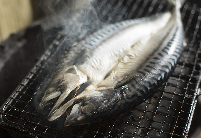 日本酒・おでん 陽
