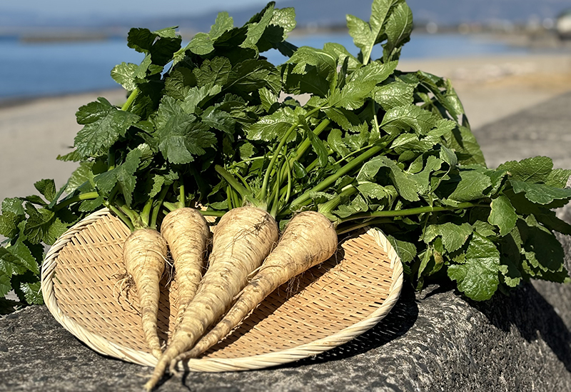 垂水大同青果株式会社