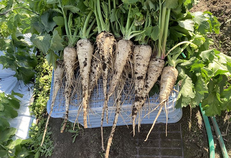 垂水大同青果株式会社