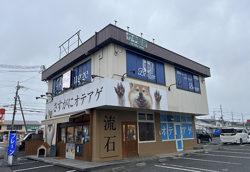 さすがにオテアゲ