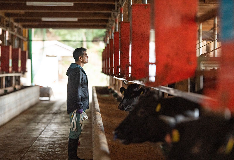 株式会社黒毛和牛の岡田