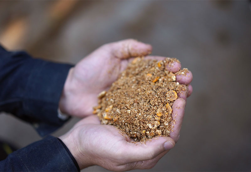 株式会社黒毛和牛の岡田