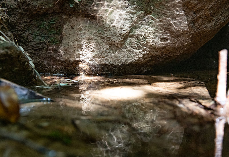 株式会社黒毛和牛の岡田