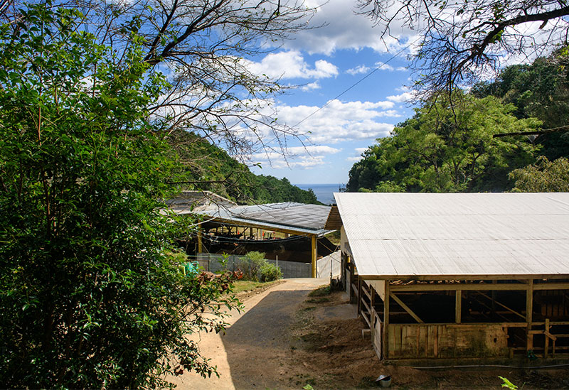 株式会社黒毛和牛の岡田