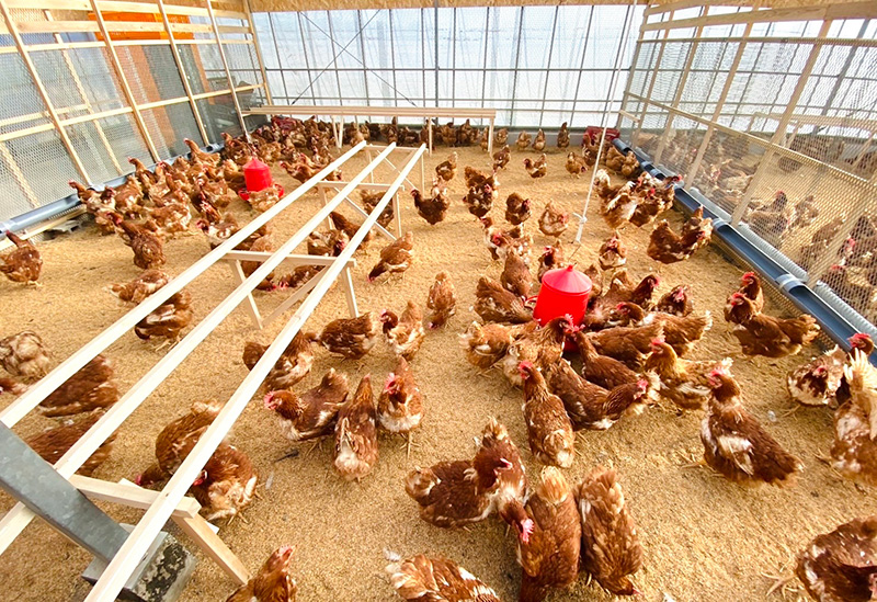 いたか自然農園