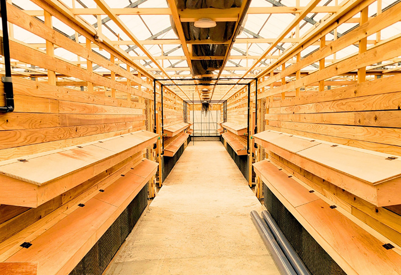 いたか自然農園