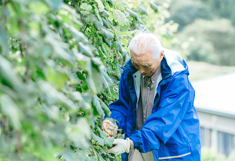 自園自醸ワイン 紫波ワイナリー