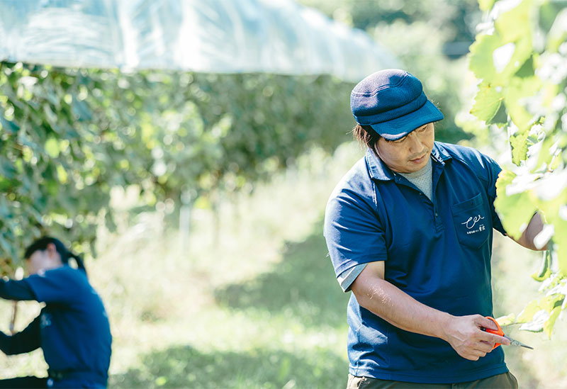 自園自醸ワイン 紫波ワイナリー