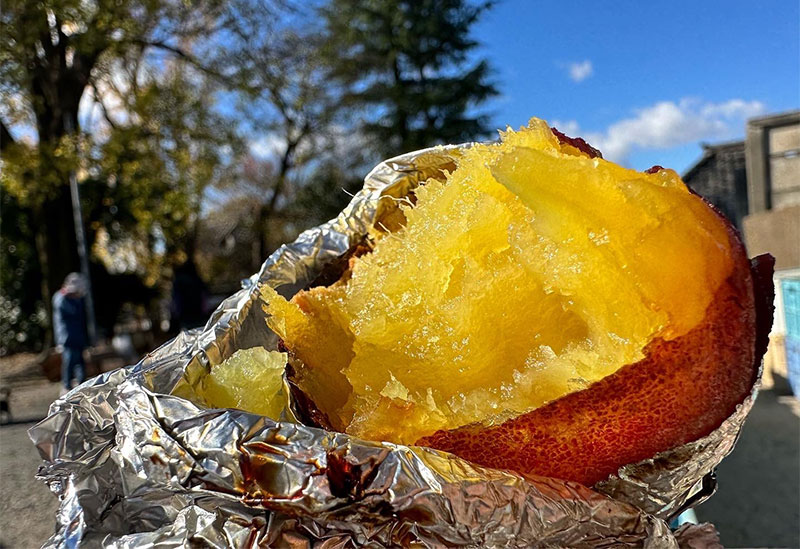 はらぺこ畑　杉正農園