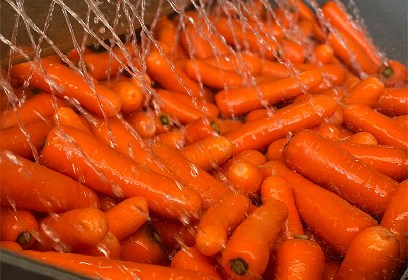 はらぺこ畑　杉正農園