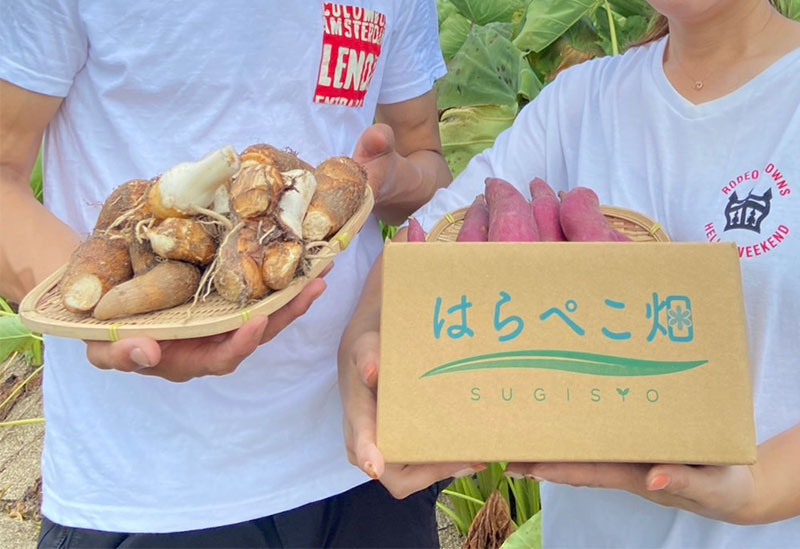 はらぺこ畑　杉正農園