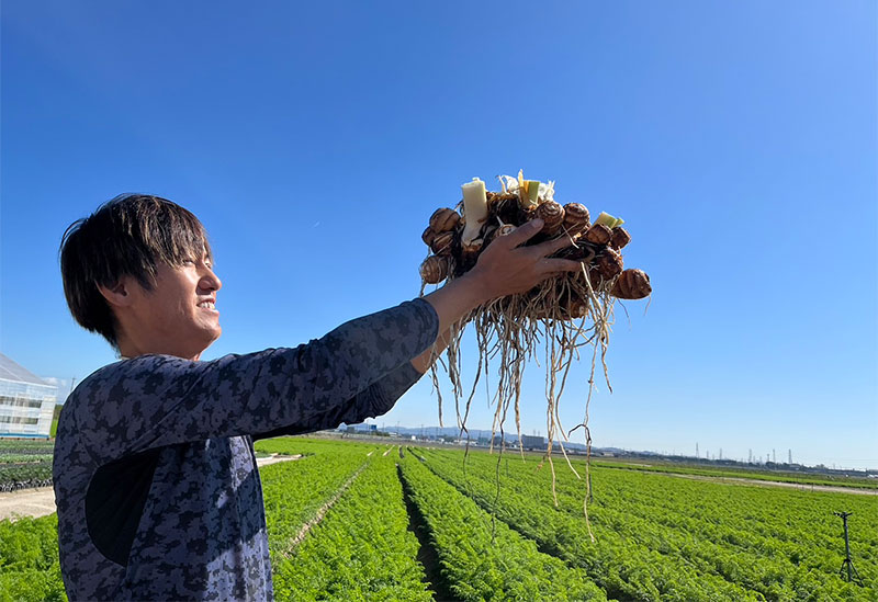 はらぺこ畑　杉正農園