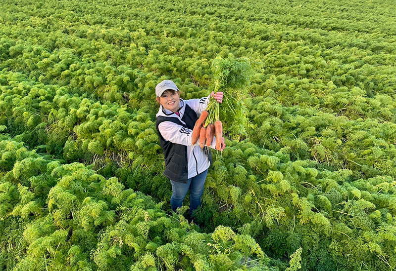 はらぺこ畑　杉正農園