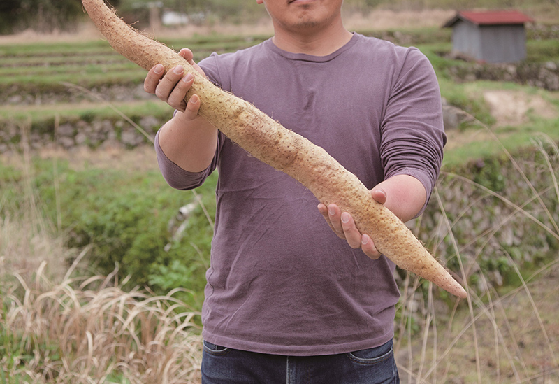 株式会社ミライエfarm