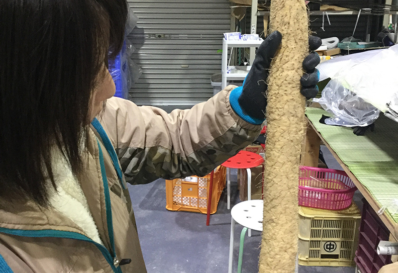 株式会社ミライエfarm