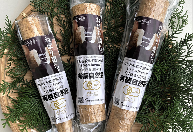 株式会社ミライエfarm