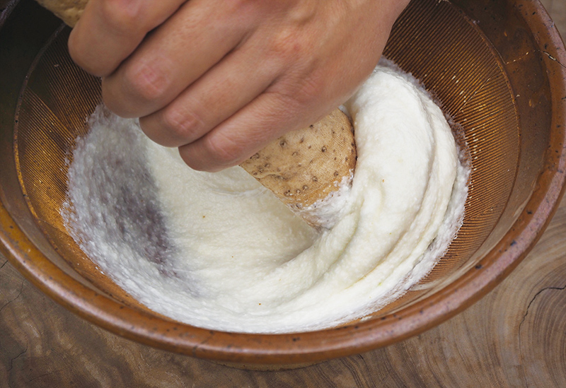 株式会社ミライエfarm