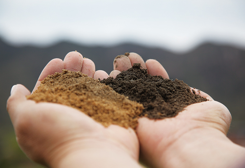 株式会社ミライエfarm