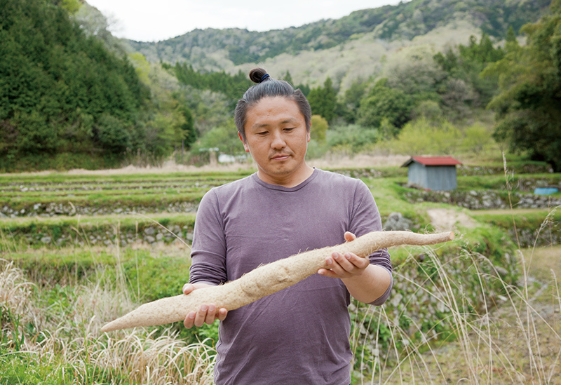 株式会社ミライエfarm