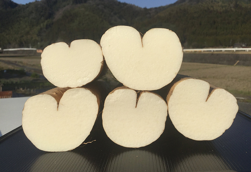 株式会社ミライエfarm