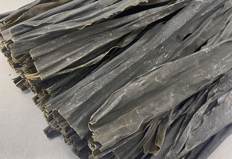 株式会社小松海藻