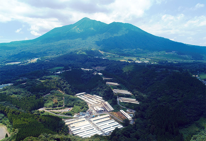 ハヤシカネオンラインショップ