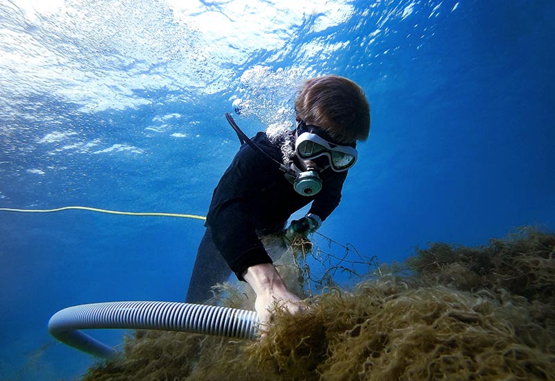 マジャーランドのネットショップ