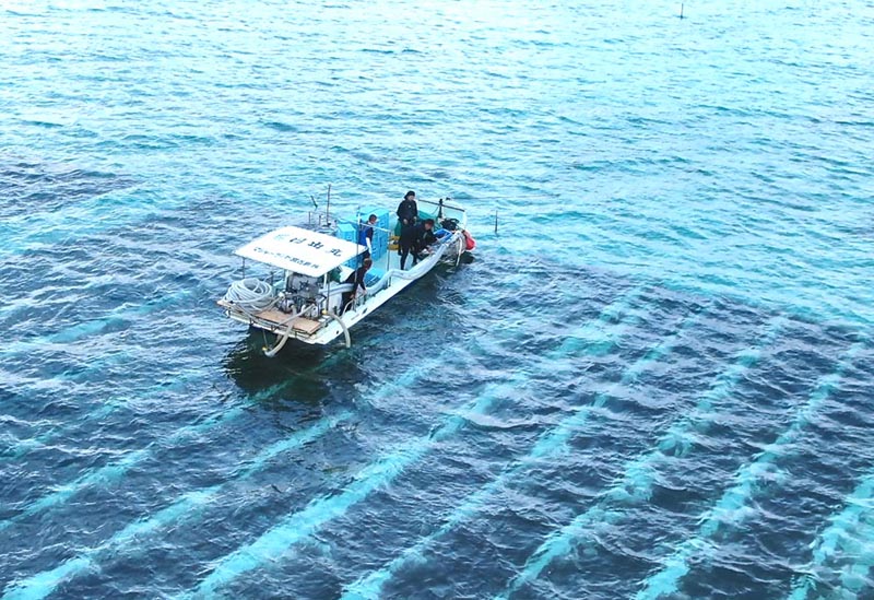 マジャーランドのネットショップ