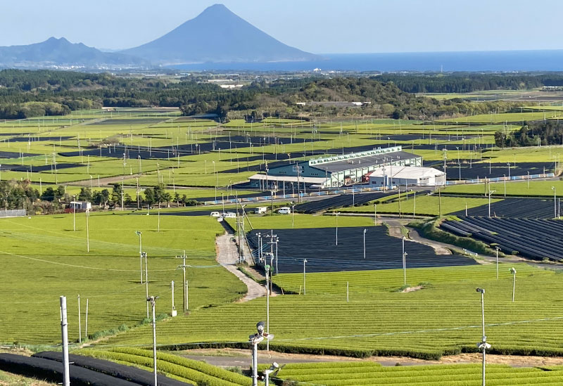 JA南さつま　知覧茶業センター