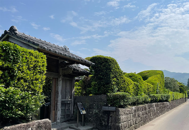 JA南さつま　知覧茶業センター