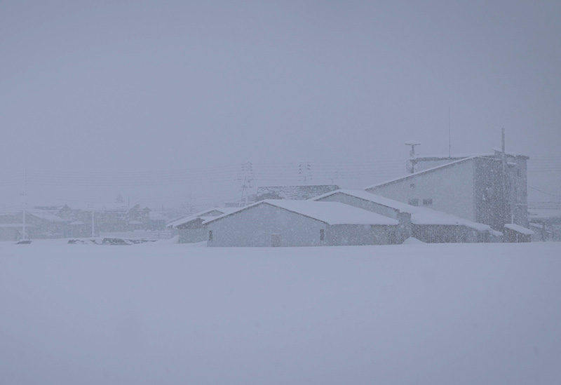 えちごいち味噌