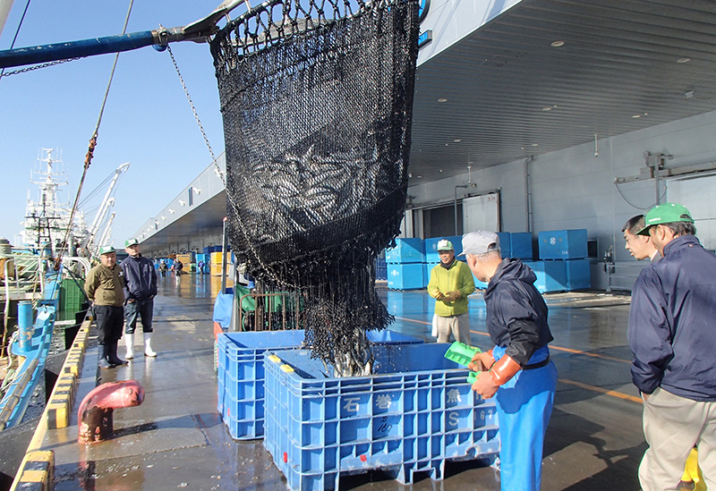 山徳平塚水産株式会社