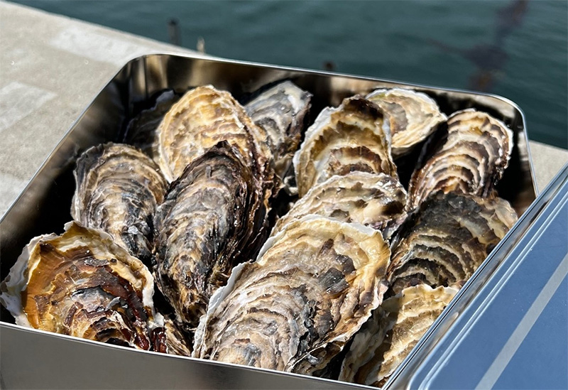 株式会社ヤマナカ