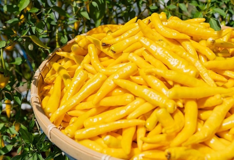 祇園味幸 桂川店