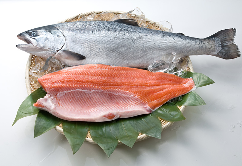 宮城県漁業協同組合