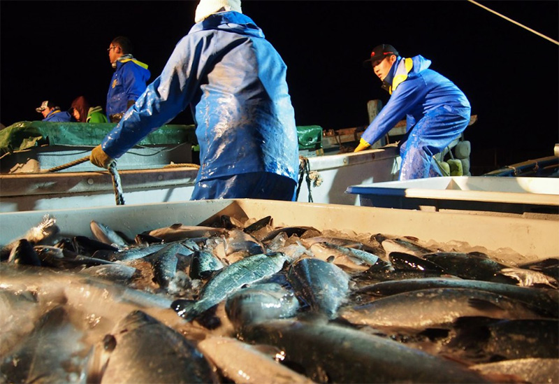宮城県漁業協同組合
