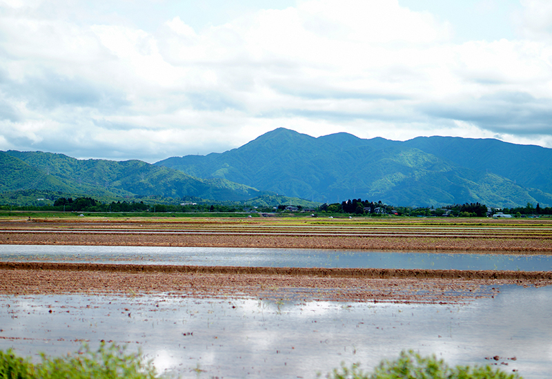 佐藤食肉ミートセンター