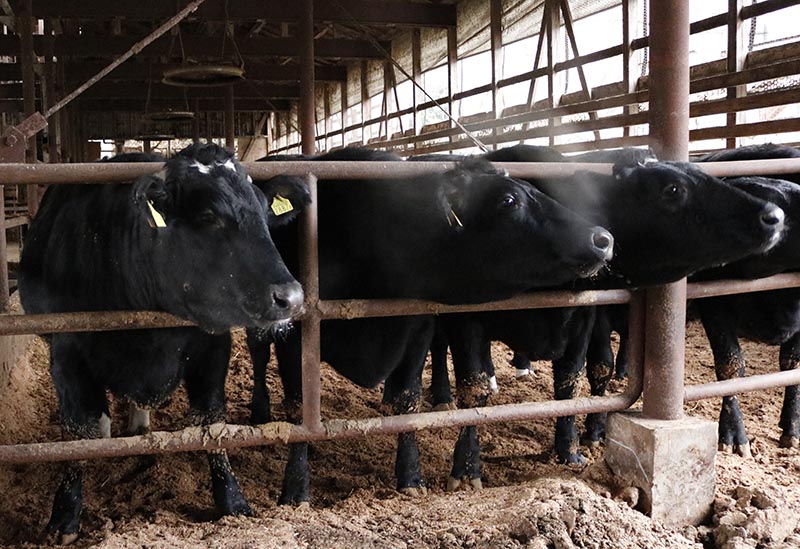 佐藤食肉ミートセンター